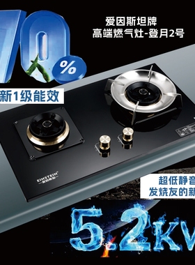 EINSTEIN（家电） E18