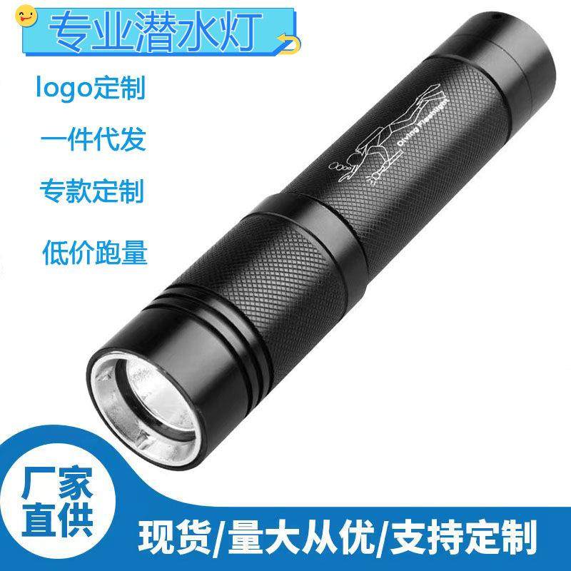 厂家水陆两用100米防水手电筒 强光可充电超亮远射水下专业潜水灯