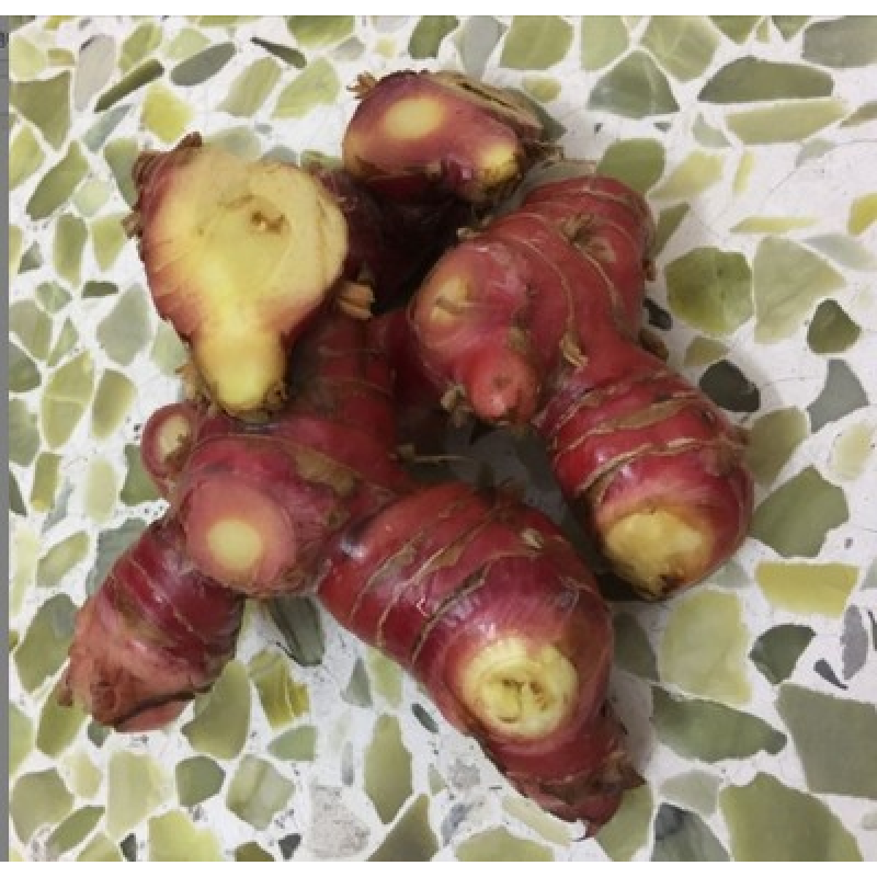 南姜新鲜 潮汕南姜 包邮潮州姜野生山姜 山姜头蓝姜5斤27.5促销价,水产肉类/新鲜蔬果/熟食,其它,淘宝优惠券,粉丝福利购,淘宝优惠卷