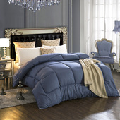 被子加厚保暖冬被春秋被芯棉被单人1.5m学生宿舍磨毛双人秋冬被褥