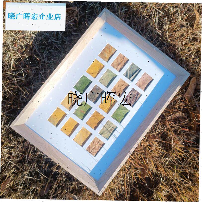 落叶相框48格树叶标本diy捡秋36 24J宫格秋天格子叶子画 画框收l