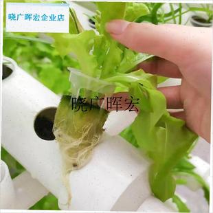 新款大孔定植篮1k00个 无土栽培蔬菜加深水耕定植篮 水培固根器l