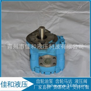 捣炉机齿轮泵 1FR捣炉机液压泵 CBY2025