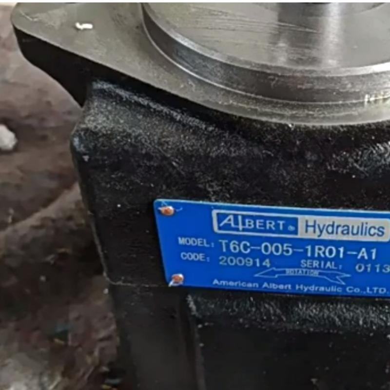 ALBERT艾伯特叶片油泵T6EC-062-020-1L15-B1 油泵现货