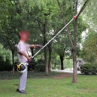 汽油1.25马力绿篱锯米3米4米修枝锯园林修枝油锯可伸缩汽油机