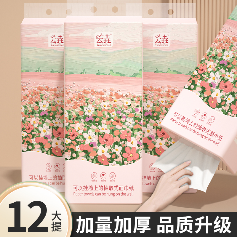 12大提车用清洁用纸卫生擦手纸整箱批发车用悬挂式抽纸巾实惠促销