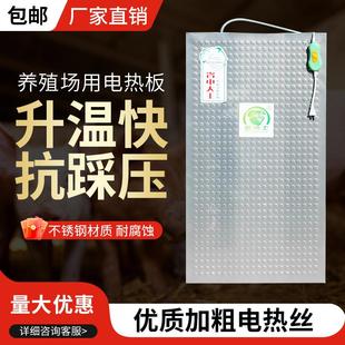 仔猪不锈钢电热板猪用碳纤维母猪产床保温箱兽用加热板小猪保温板