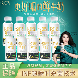 君樂寶悅鮮活鮮牛奶A2型酪蛋白260ml鮮奶更多活性蛋白a2低溫奶