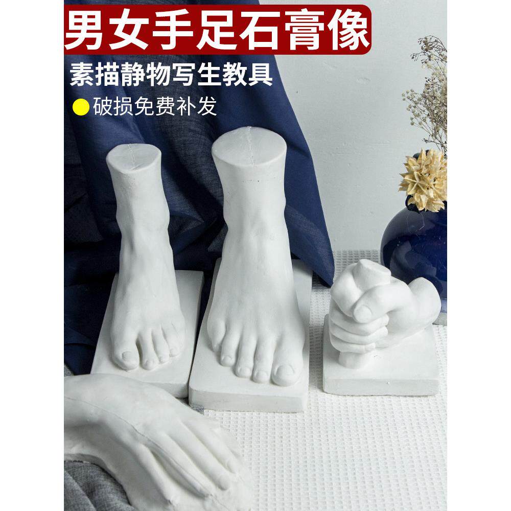 男女手足石膏像手脚四件套石膏教具美术素描绘画写生静物用具摆件