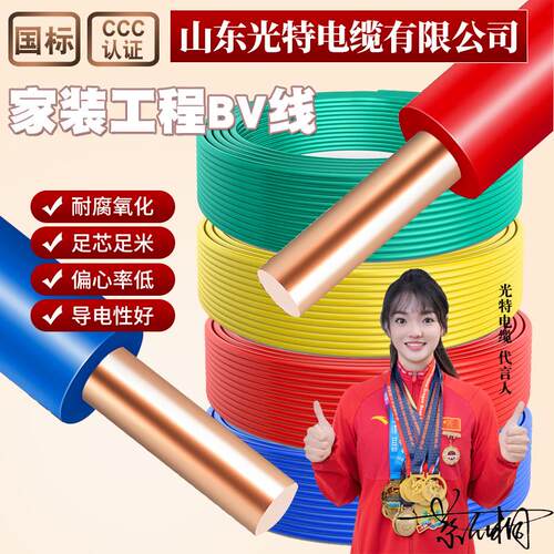 国标阻燃BV电线家装2.5/4/6/10/16平方铜线单芯单股硬线心1.5插座