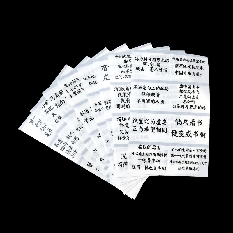 小黄鸡工坊新青年鲁迅语录鼓励励志学生装饰手账笔记本透明贴纸