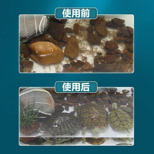 乌龟缸过滤器低水位瀑布式吸粪循环净水器小型养龟箱净化滤水系统