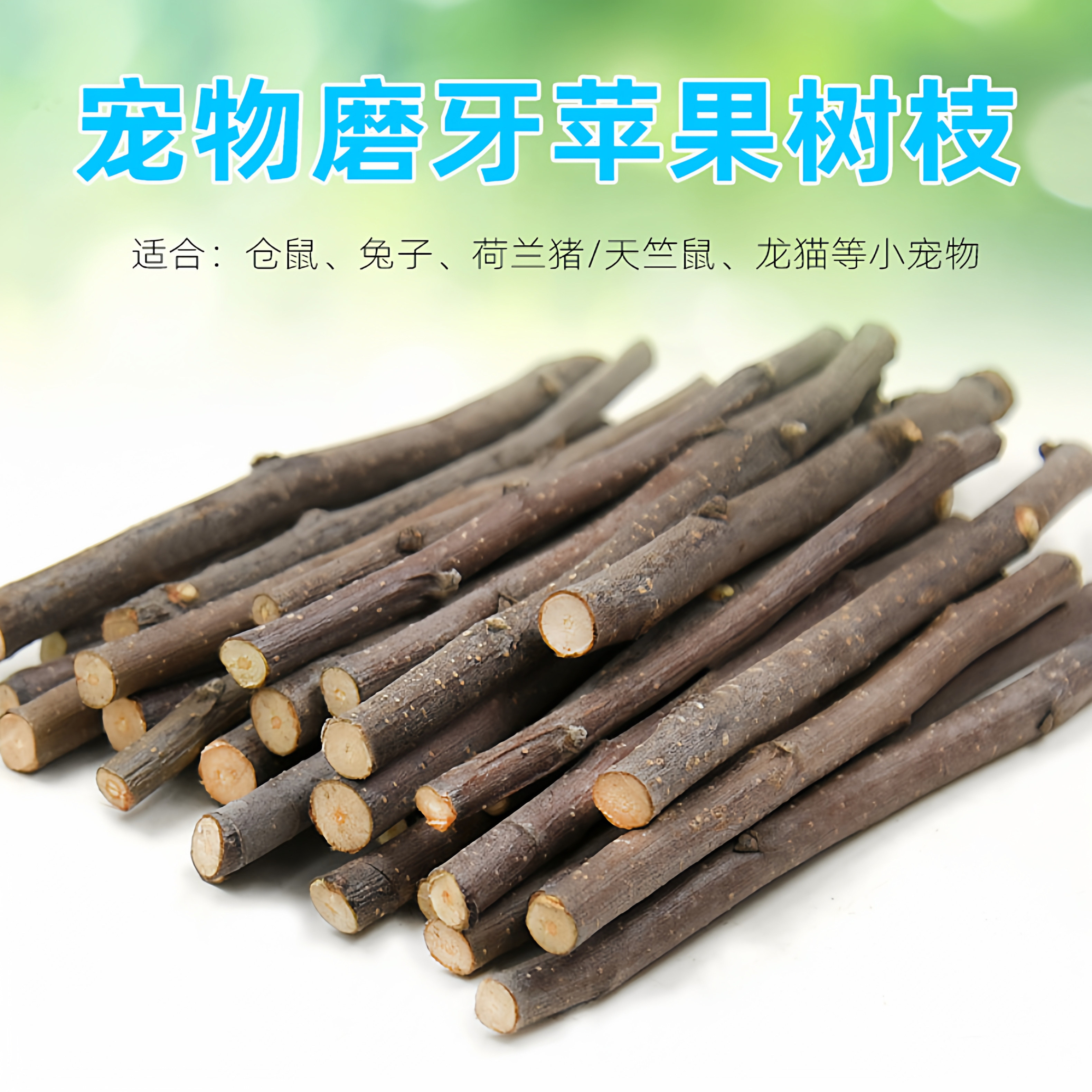 仓鼠兔子磨牙棒石金丝熊荷兰猪