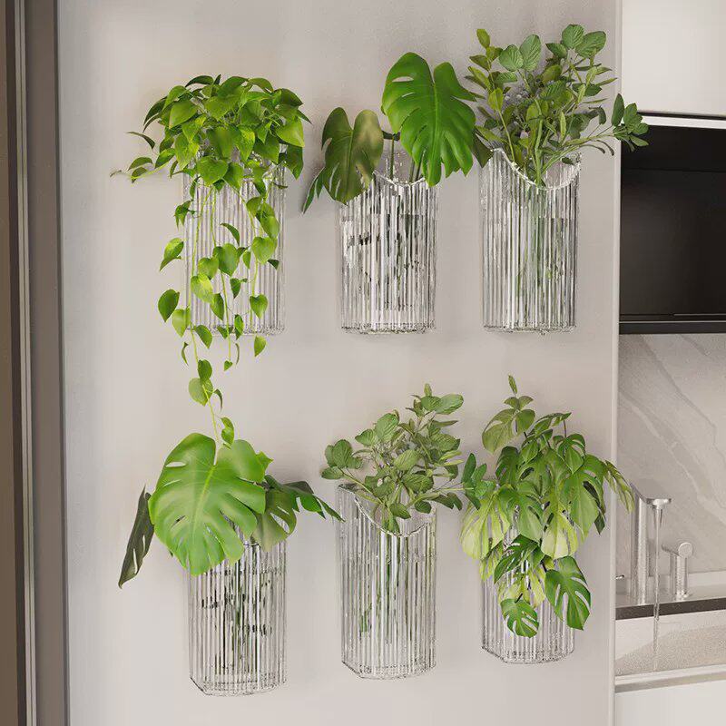 水培绿植花盆上墙吊兰绿萝植物置物架免打孔客厅家居装饰壁挂花瓶