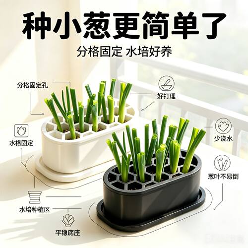 新款出租屋葱花水培套装免土免技巧快速收割阳台窗台家庭种植盒