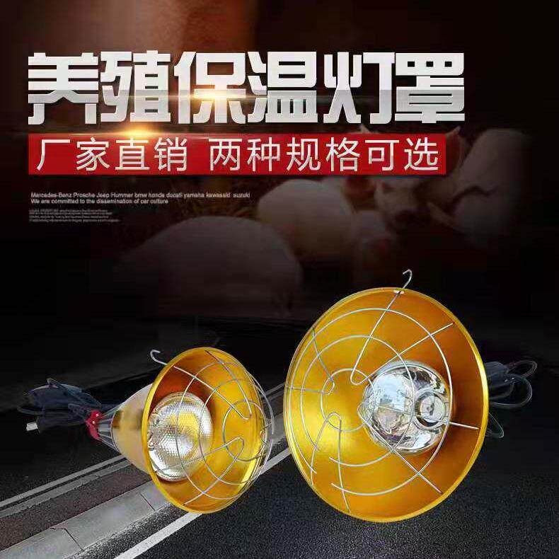 直供猪用保温灯灯罩带开关防水防撞双向保护养殖场取暖厂家