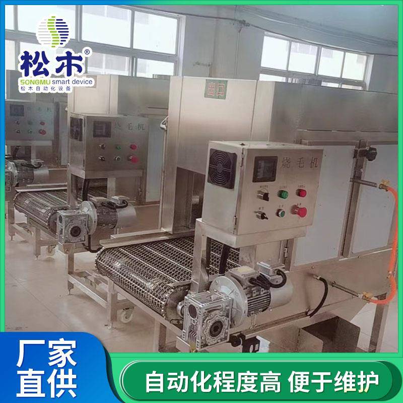 全自动猪牛羊头蹄燎毛炉烧毛机设备头蹄副产品加工设备支持定制