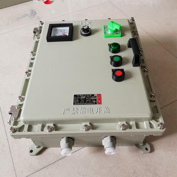 BT4防爆控制箱变频器调速现场远程DCS事故风机马达启停防爆配电箱