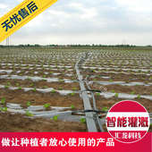 3一寸半滴灌喷灌供水管 滴灌管滴灌带专用主管 1.5 PE输水软带1