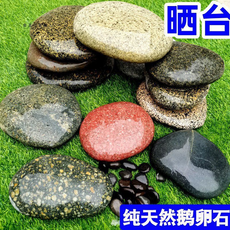 乌龟晒台石天然鹅卵石压菜石鱼缸造景原石爬宠露台爬台扁石超