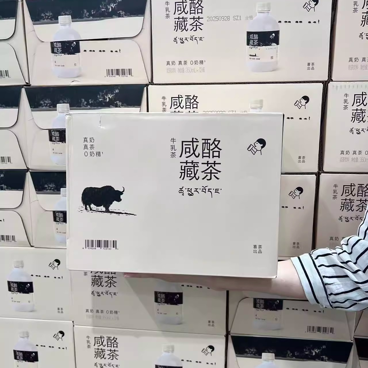 山姆喜茶咸酪藏茶牛乳茶奶茶饮料350ml*12奶香浓郁下午茶