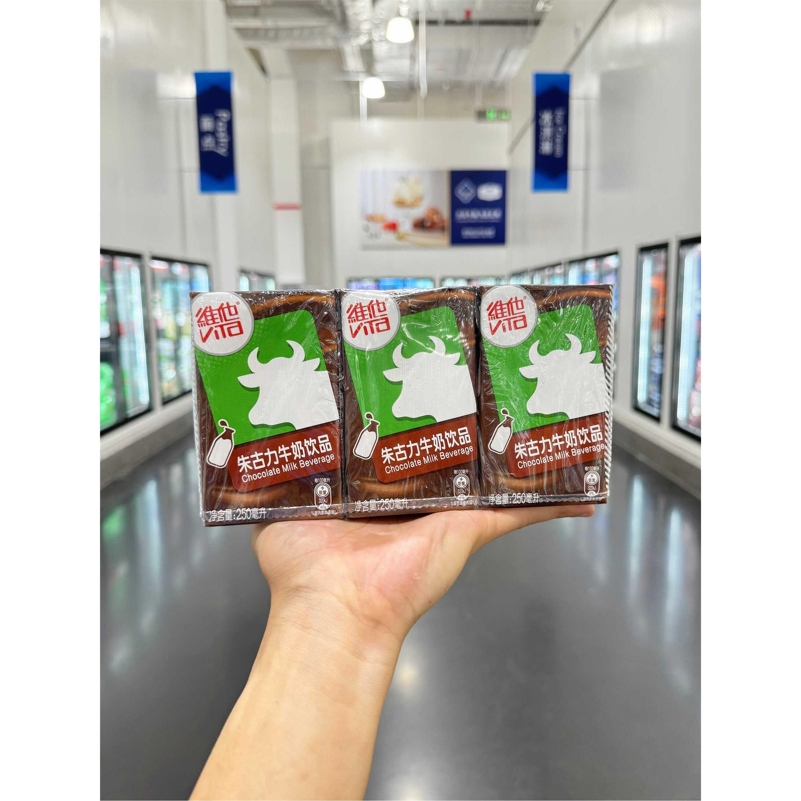 山姆代购香港维他Vita朱古力牛奶饮品巧克力可可牛乳饮料早餐奶