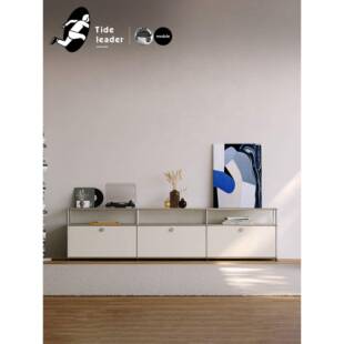 Tide leader中古组合电视柜客厅2025新款不锈钢现代简约电视机柜