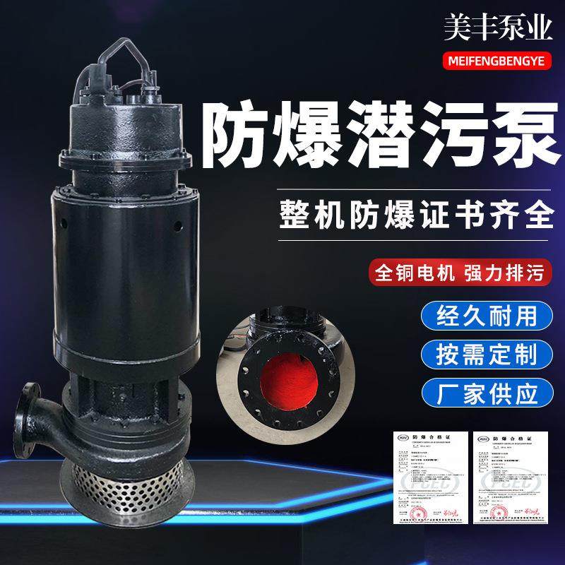 美豊铸铁潜水泵防爆潜污泵污水处理排污泵IICQQW37KW,五金/工具,循环泵/热水循环泵,淘宝优惠券,粉丝福利购,淘宝优惠卷