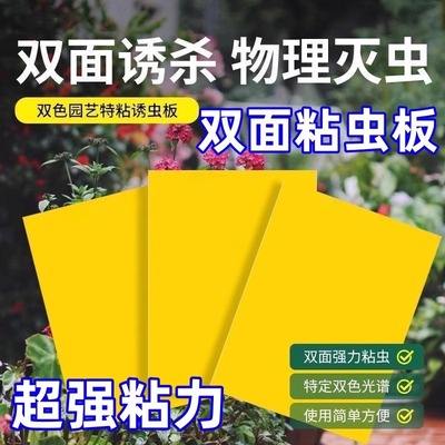 双面粘虫黄板诱虫板柑橘子树