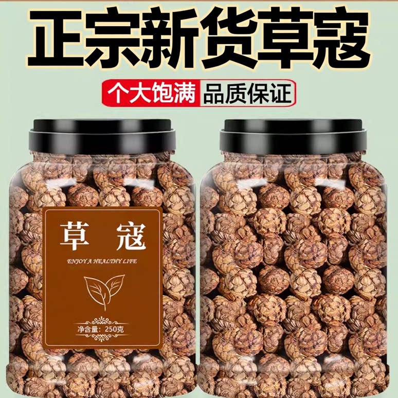 草寇大料香料调料中药材批发大全草扣仁草豆蔻老蔻炖肉卤肉火锅粉