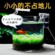 静音外置挂式 瀑布鱼池乌龟缸 过滤器增氧水族箱玻璃鱼缸设备壁挂式