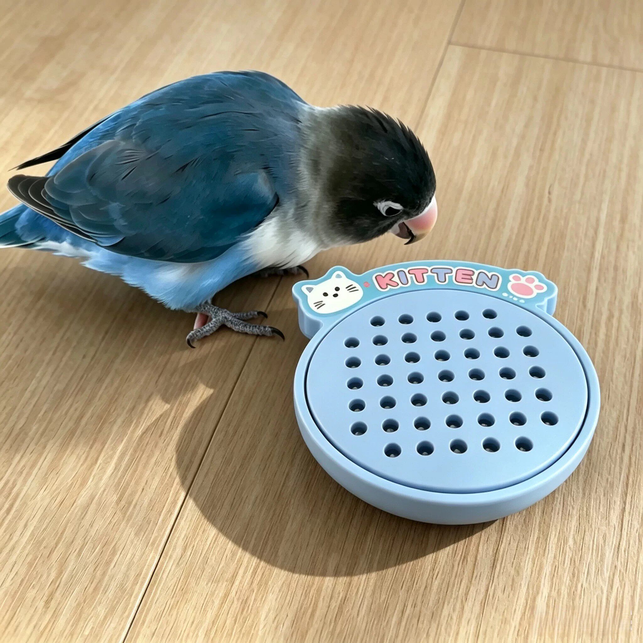 鹦鹉磁吸钢珠磨牙玩具钥匙扣