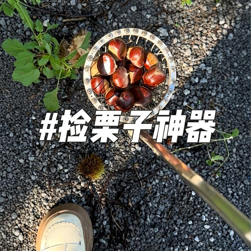 摘板栗神器伸缩杆收集器拾果器快速捡果神器捡栗工具捡山核桃坚果