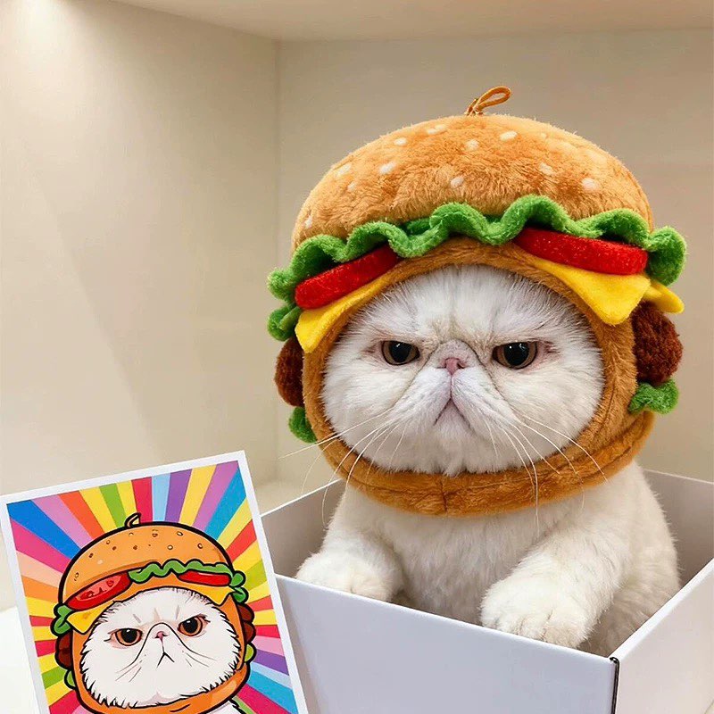 猫咪汉堡头套项圈帽子卡通宠物薯条围兜搞怪服饰伊莉莎白圈