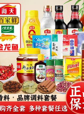 调料组合套装海天厨房调味料香佐料大全油盐酱醋调料品全套调味品