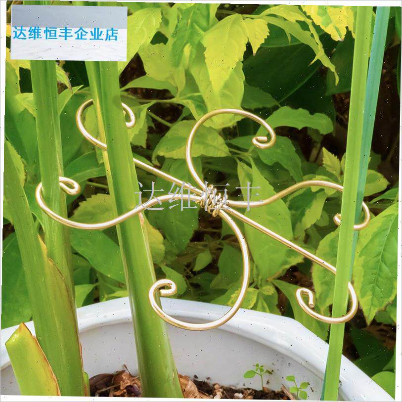 堂鸟收拢龟背竹支撑架园艺防z倒伏金钱树春羽海芋水培植物固定器.