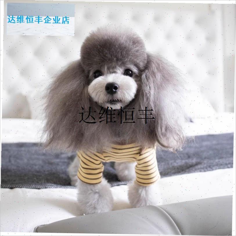宠物狗狗衣服春秋款条纹包肚子四脚G衣保暖泰迪比熊博美小型犬秋,