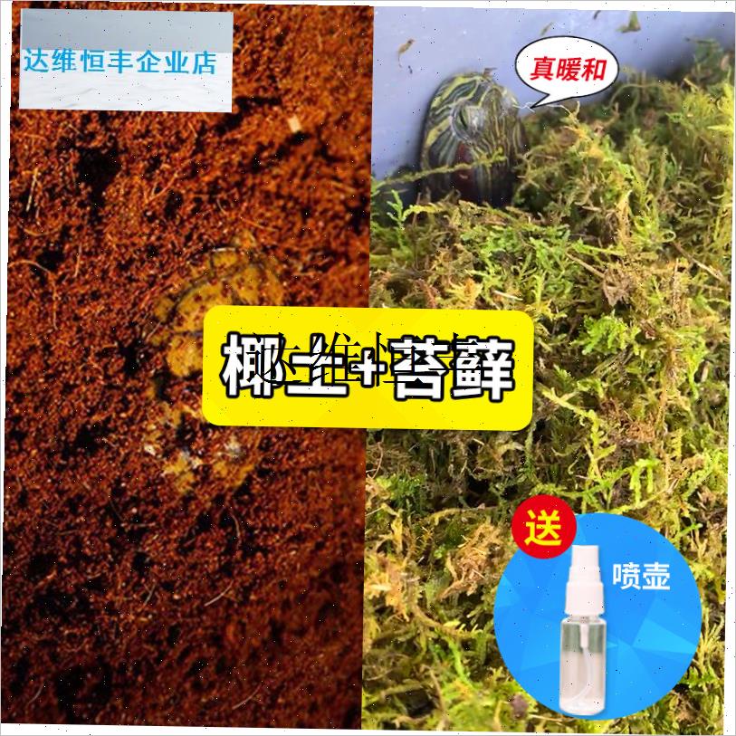 乌龟冬眠箱专用椰土爬宠饲养盒寄居蟹角蛙过冬S神器苔藓乌龟缸用,