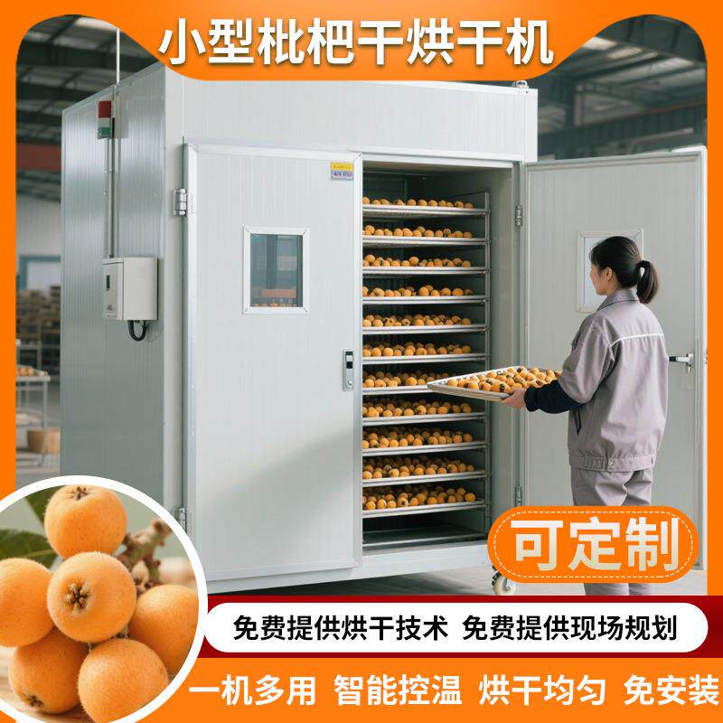 小型枇杷果干烘干机 空气能琵琶干烘干机 全自动芦橘芦枝烘干设备