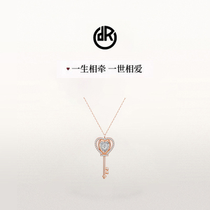 DR官方正品高端真钻高品质吊坠钛钢钻石项链送女友g
