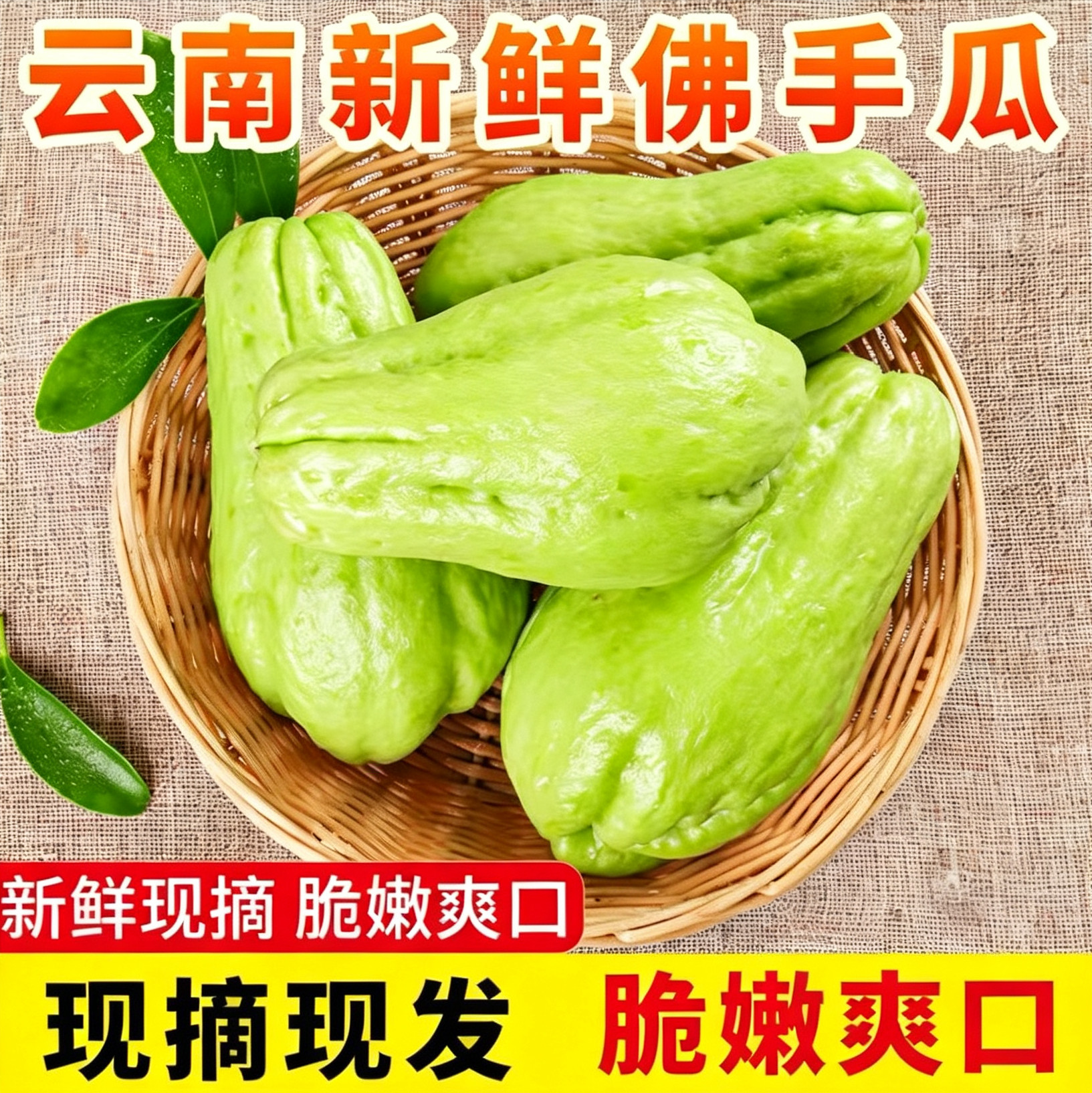 【限时疯抢】现摘佛手瓜8枚装