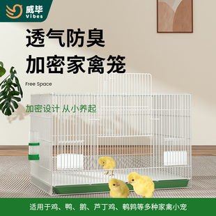 鸡笼家用大号加密芦丁鸡鸭笼自动清D粪室内鹌鹑小鸡养殖笼超大空