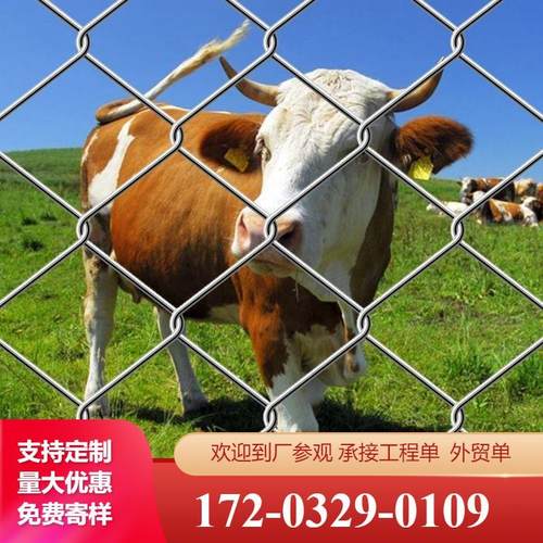 钢丝网铁丝网果园勾花网养鸡网拦鸡网牛羊养殖围栏网栅栏网片网格