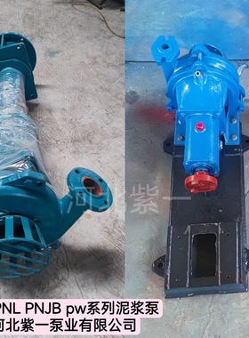 2PNL泥浆泵3PN泥浆泵叶轮浮筒泥浆泵打桩机用泥浆泵配件PW污水泵