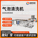 果蔬气泡清洗机全套加工设备 净菜果蔬涡流清洗机预制菜洗菜机器