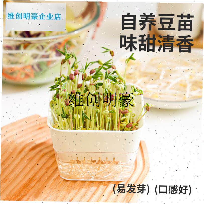 l豆芽发芽盆水培蔬菜豌豆苗种植架无土栽培O托猫草芽苗菜育苗盘托
