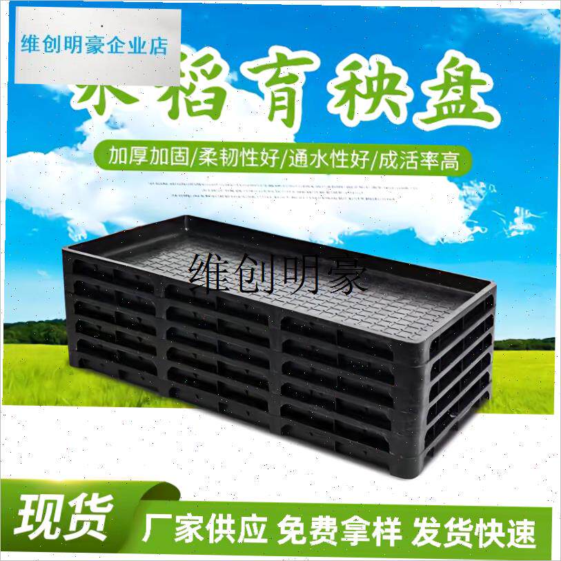 l水稻育秧盘新款加厚塑料托 x托盘平盘秧苗机插插秧盘加厚平底盘