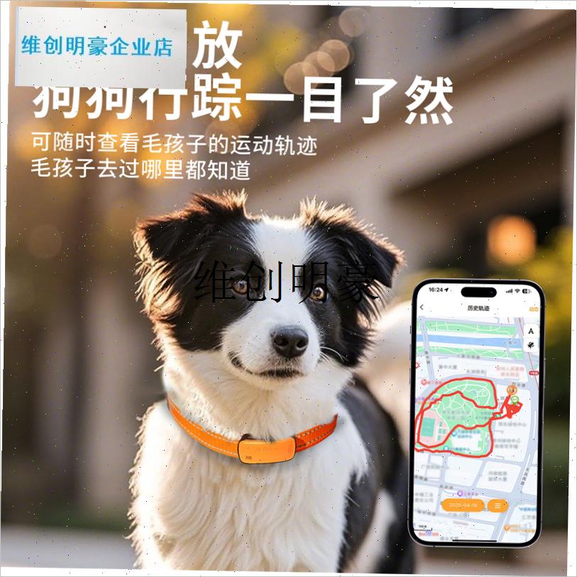 l宠物定位器项圈n猫咪狗狗智能GPS定位追踪器实时追踪器防丢