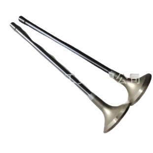 十堰汽配城柴油发动机配件QSK19排气门364154340976242881813