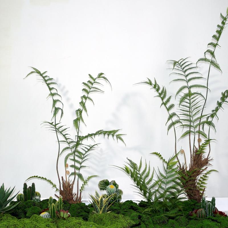 仿真植物金星蕨盆栽蕨叶类热带绿植民宿热带雨林装饰造景蕨草摆件